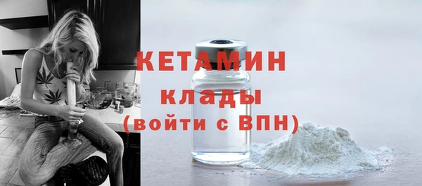 гидра Коряжма