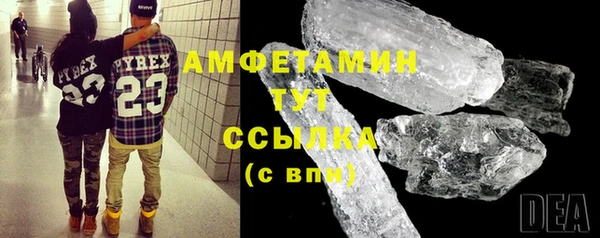 твердый Краснослободск