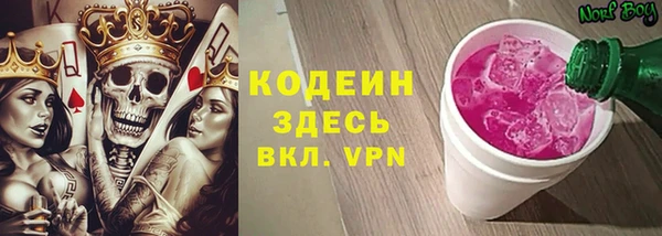 твердый Краснослободск