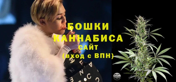 гидра Коряжма