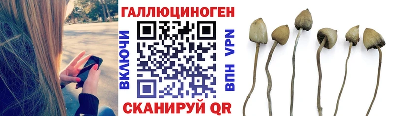Галлюциногенные грибы ЛСД  Купить  Зима 
